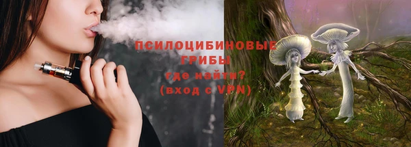 винт Гусь-Хрустальный
