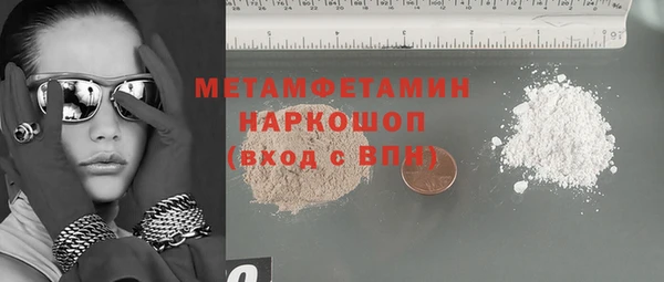 ГАЛЛЮЦИНОГЕННЫЕ ГРИБЫ Гусев