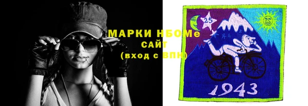 ГАЛЛЮЦИНОГЕННЫЕ ГРИБЫ Гусев