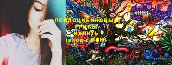 винт Гусь-Хрустальный