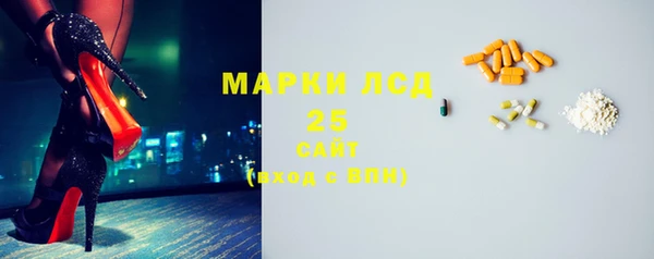 ГАЛЛЮЦИНОГЕННЫЕ ГРИБЫ Гусев