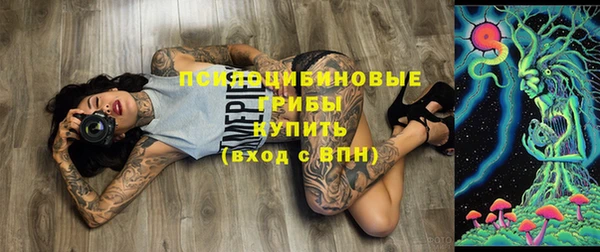 винт Гусь-Хрустальный