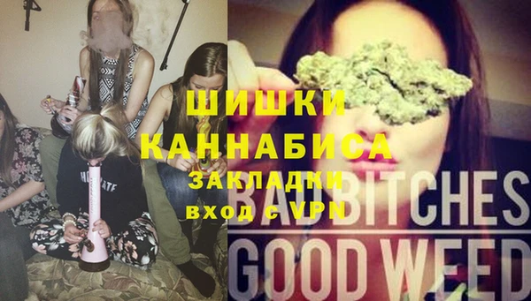 винт Гусь-Хрустальный