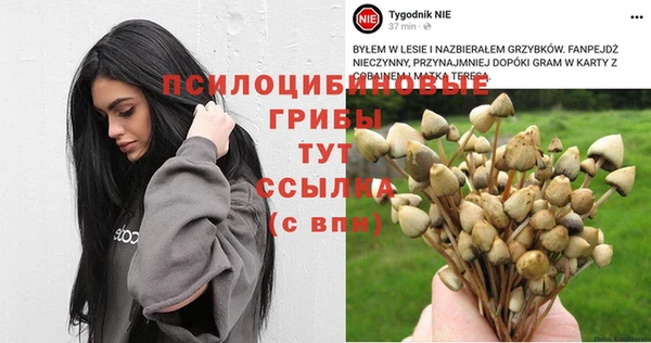 винт Гусь-Хрустальный