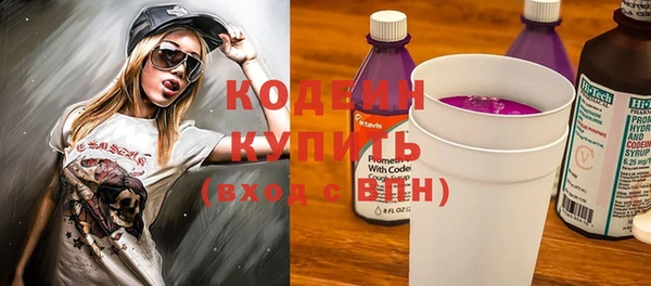 ГАЛЛЮЦИНОГЕННЫЕ ГРИБЫ Гусев