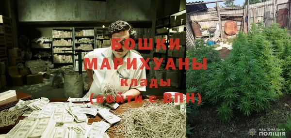 винт Гусь-Хрустальный